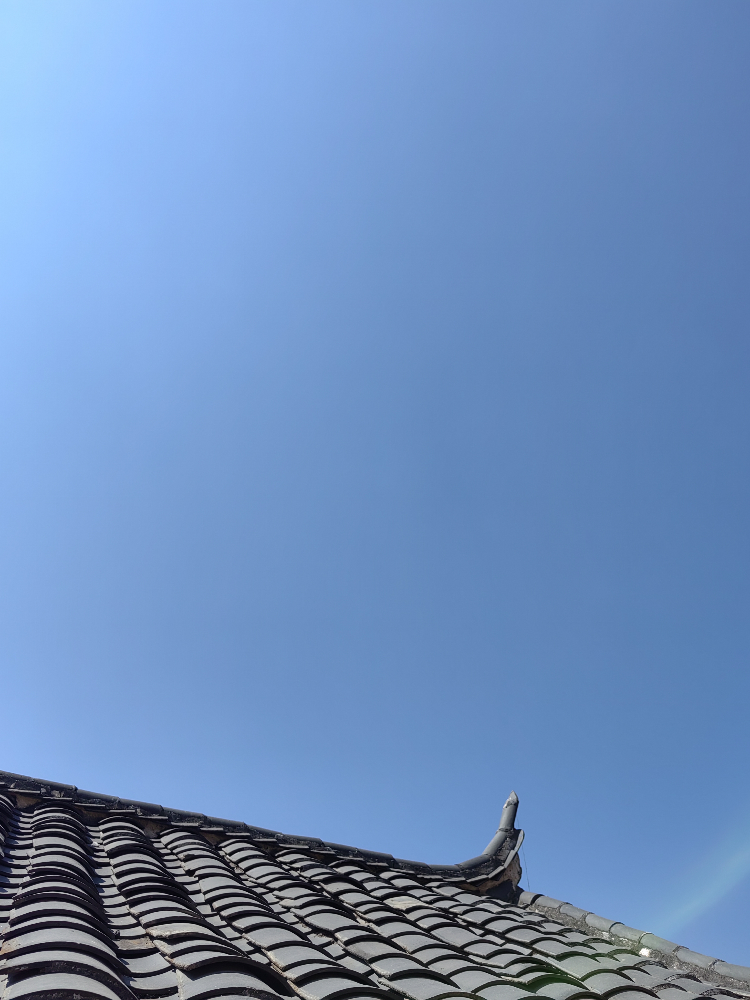 动态图片
