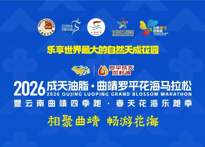动态图片
