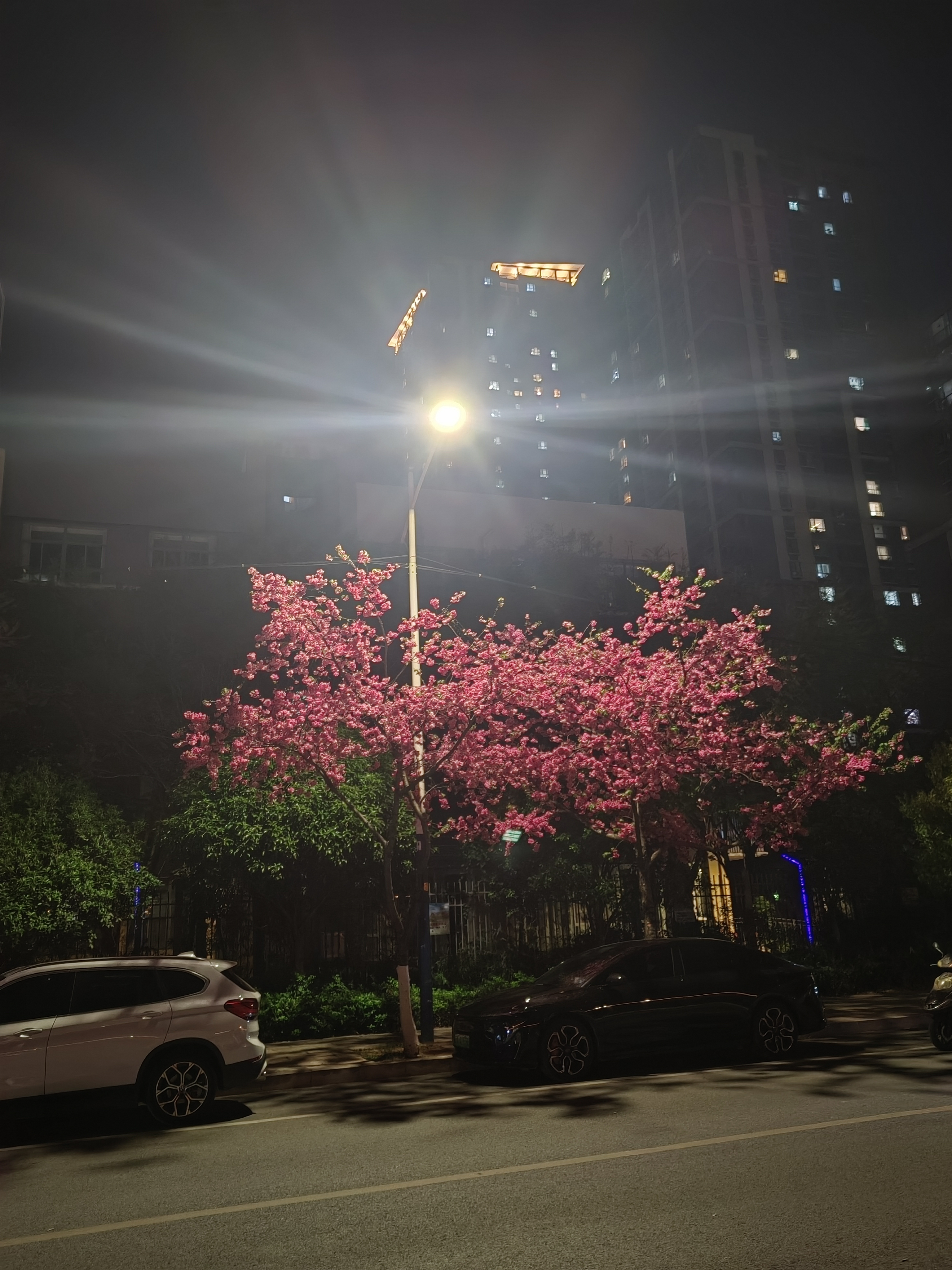动态图片