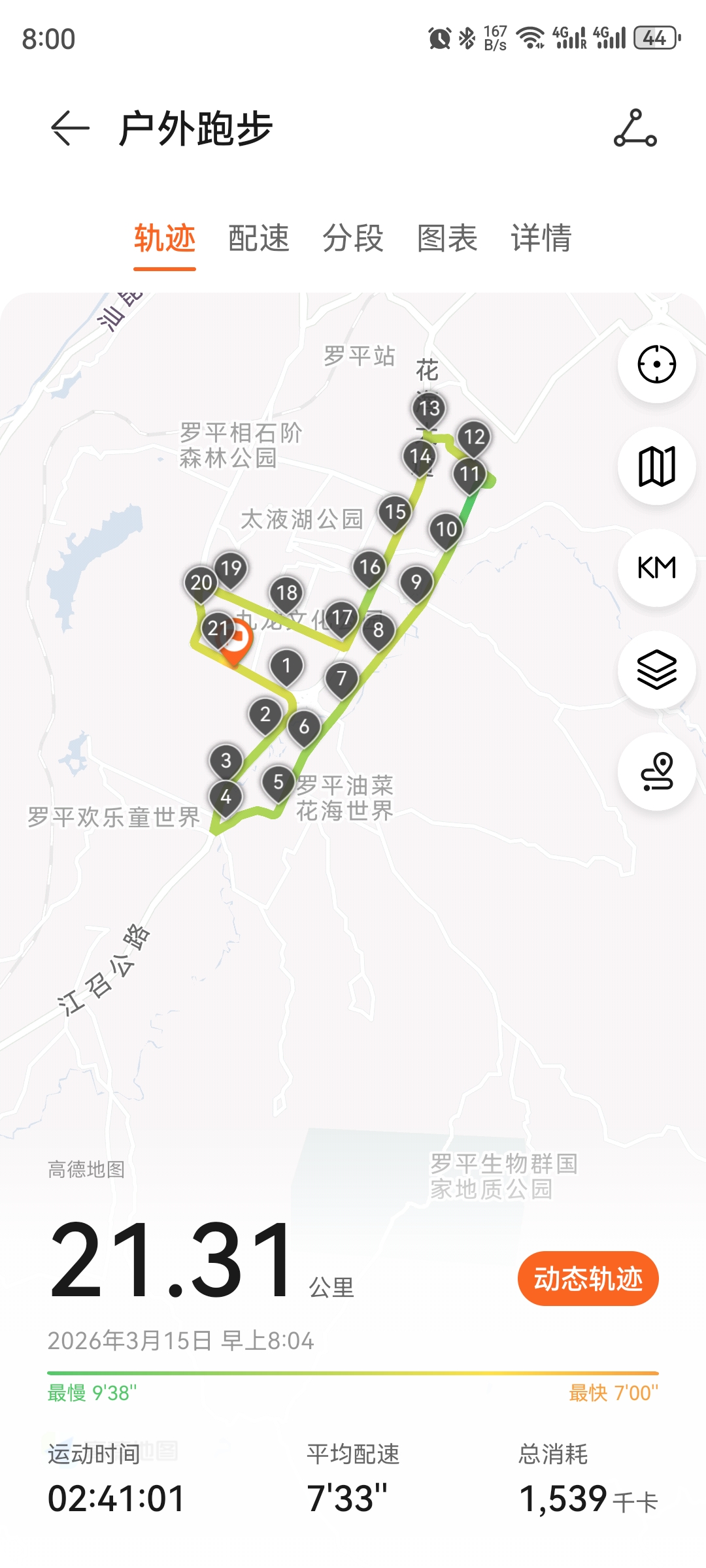 动态图片