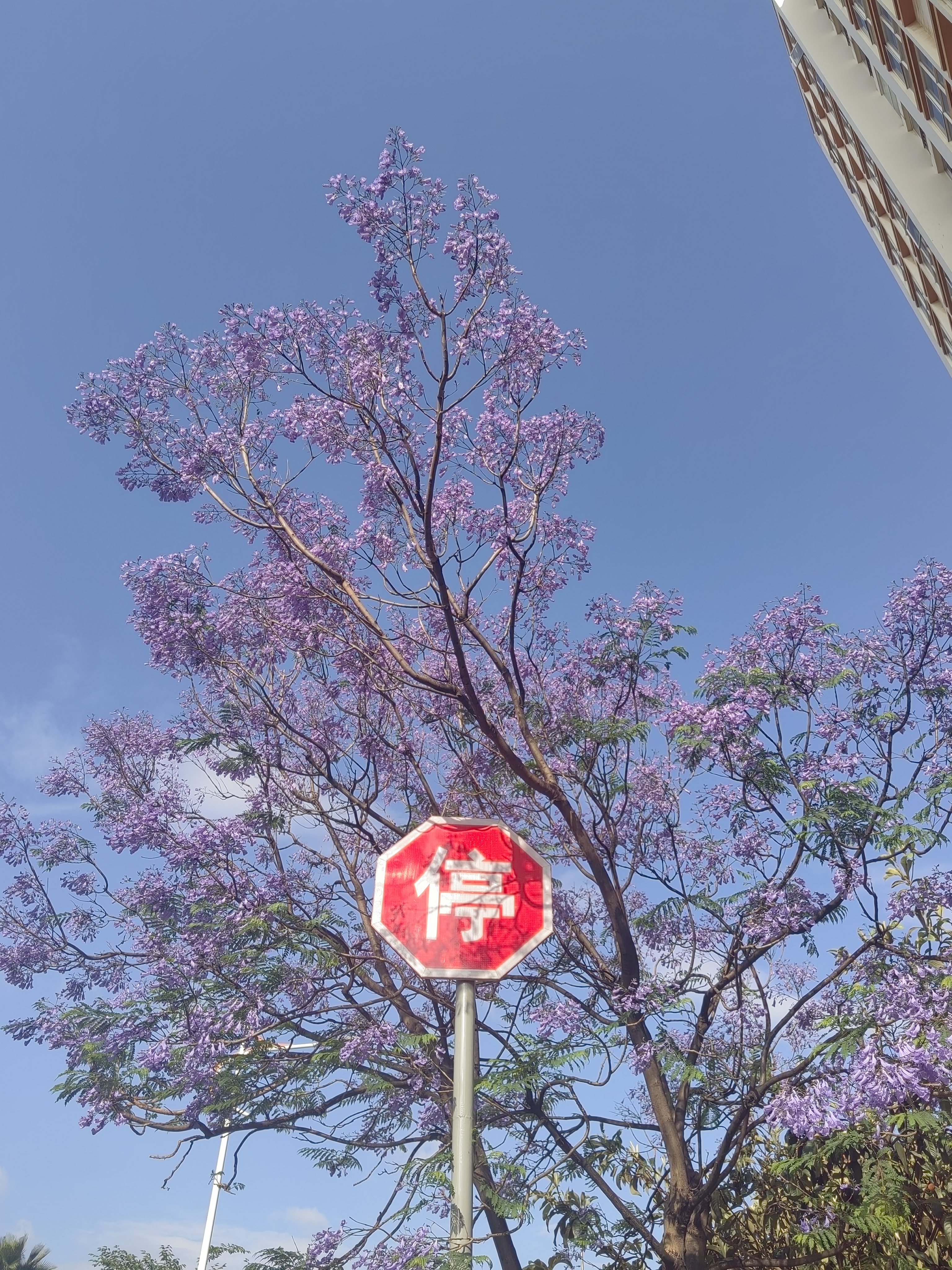 动态图片